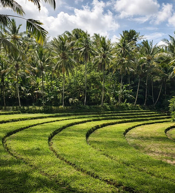 Hiking in Tropical Nature
